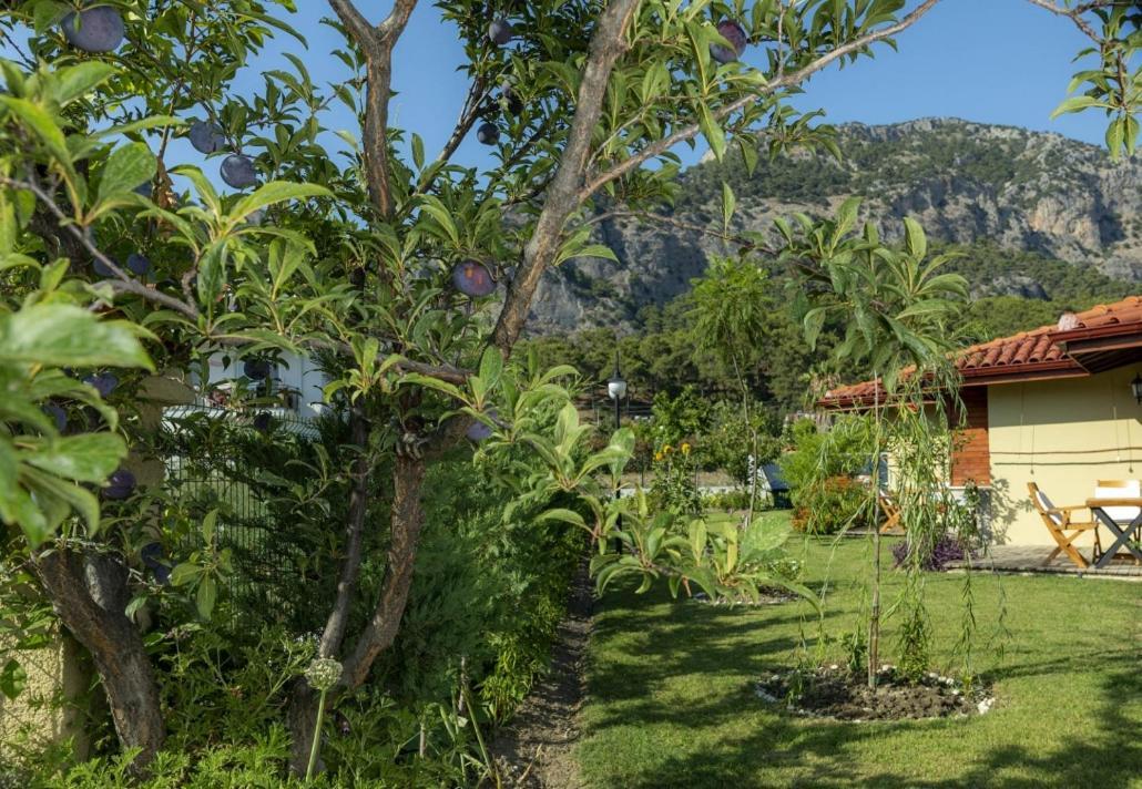 Sandal Hotel Gocek Exteriér fotografie